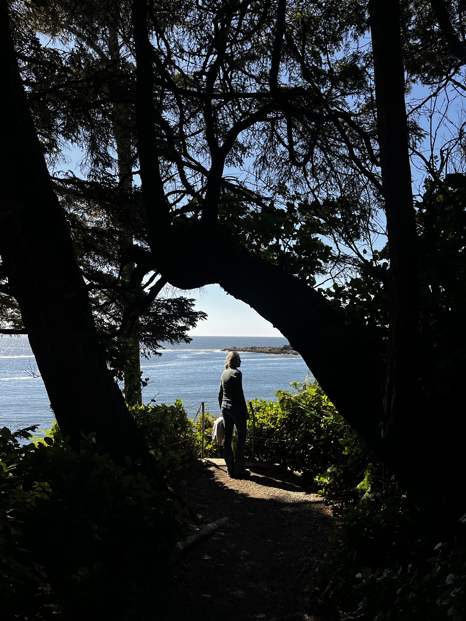 Like a hamster on a wheel