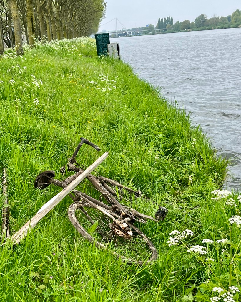 The driving force of being